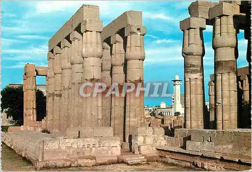 Moderne Karte Papyrus Columns in Luxor Temple