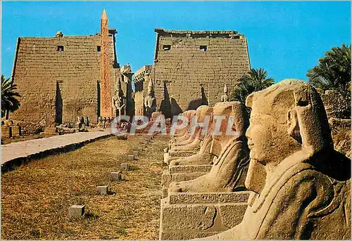 Moderne Karte Luxor Avenue des Sphinxes au Temple de Luxor