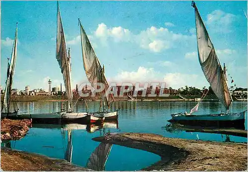 Cartes postales moderne Louxor Vue de Nil Bateaux