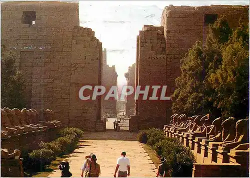 Cartes postales moderne Karnak Allee des Sphinxes et des Pylones du Temple d Amon Ra