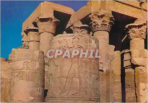 Cartes postales moderne D Egypte ou nous sommes Grace a Tourorient Kom Ombo