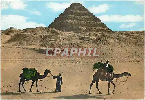 Cartes postales moderne Sakkara The Steps Pyramid
