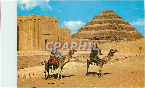 Cartes postales moderne Sakkara Pyramide du roi Zoser avec l entree du mur d enceinte