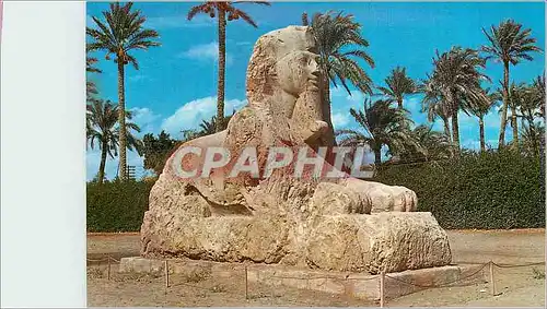 Cartes postales moderne Giza The Sphinx of Sakkara
