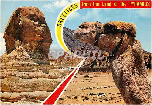 Cartes postales moderne Greetings from the Land of Pyramids Souvenirs from Egypt