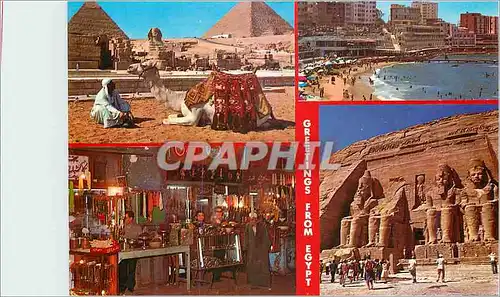 Cartes postales moderne Greetings from Egypt Camel riders at The Pyramid of Giza Alexandria Stanly Beah