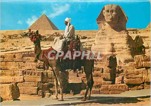 Cartes postales moderne Giza Le Sphinx et Pyramide de Mykerinos Pyramid
