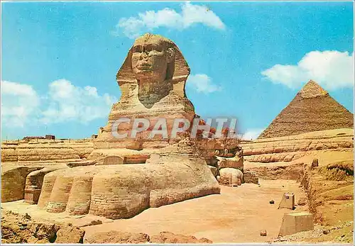 Cartes postales moderne Giza Le Grand Sphinx