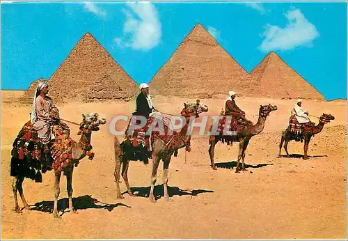 Cartes postales moderne Giza Les Pyramides de Cheops Chephren et Mykerinos
