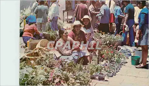 Moderne Karte Ecuador Market of plants and flowers at the Carmen plazuela la Cuenca city