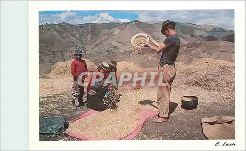 Cartes postales moderne Family Winnowing Guamote Ecuador Collection