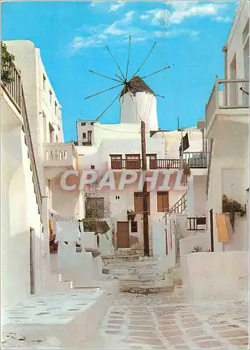 Cartes postales moderne Mykonos Ruelles pittoresque