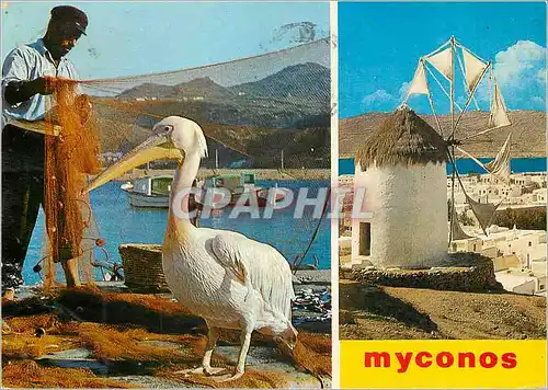 Cartes postales moderne Myconos