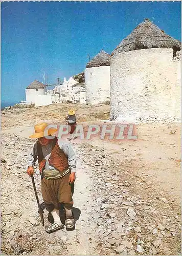 Cartes postales moderne Iles Grecques Mykonos