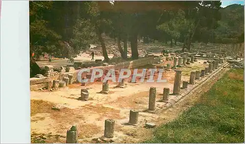 Cartes postales moderne Olympie Le Gymnase