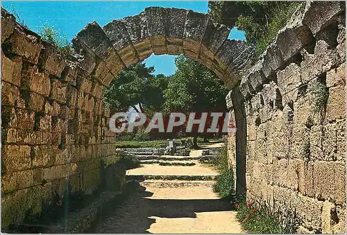 Cartes postales moderne Olympie Entree du Stade