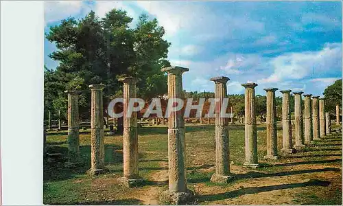 Cartes postales moderne Olympia La Palestre