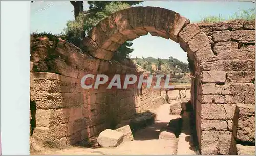 Cartes postales moderne Olympie L entree du Stade La crypte