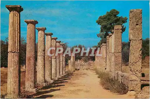 Moderne Karte Olympie La Palestre