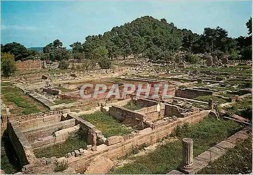 Cartes postales moderne Ancienne Olympie Vue partielle