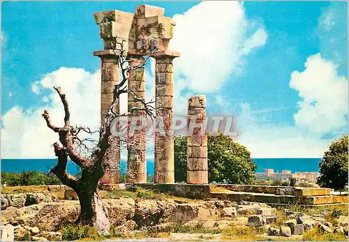 Cartes postales moderne Rhodes Le Temple d Apollon