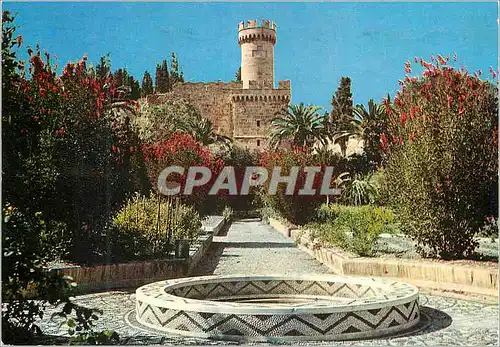 Cartes postales moderne Rhodes Jardin des fleurs