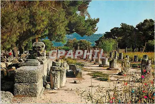 Cartes postales moderne Olympia Le Gymnase Greece