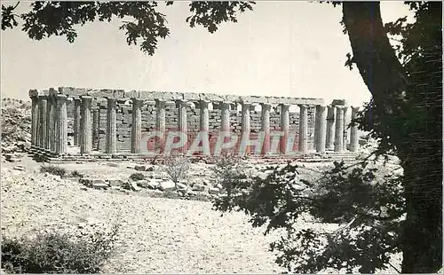 Cartes postales moderne Temple d Appolon