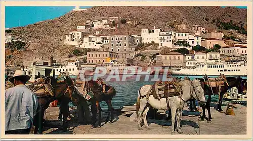 Cartes postales moderne Hydra Coin pittoresque de l Ile