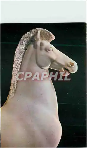 Cartes postales moderne Athenes Musee de l Acropole Avant corps de cheval No Environ av Jc