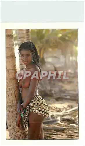 Cartes postales moderne Antilles West Indies Dream girls