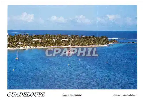 Cartes postales moderne Guadeloupe Sainte Anne La Guadeloupe La Palmeraie du Club Mediterranee