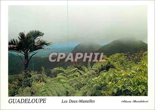 Cartes postales moderne Guadeloupe Les Deux Mamelles La Guadeloupe Montagnes de la Basse Terre