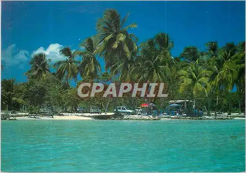 Cartes postales moderne Plage de Ste Anne