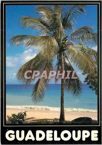 Cartes postales moderne Guadeloupe Il etait une fois la Guadeloupe