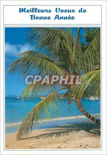 Cartes postales moderne Meilleurs Voeux de Bonne Annee Images des Antilles