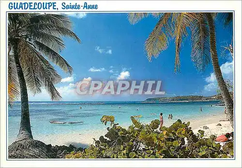 Moderne Karte Guadeloupe Sainte Anne Plage de la Caravelle