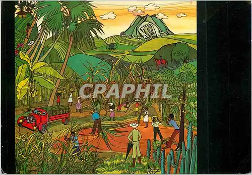 Cartes postales moderne Les Antilles Francaises La Cannele