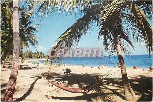 Cartes postales moderne Guadeloupe