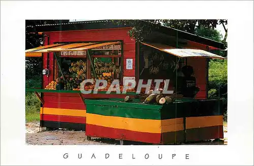 Cartes postales moderne Guadeloupe Antilles Lolo sur la plage