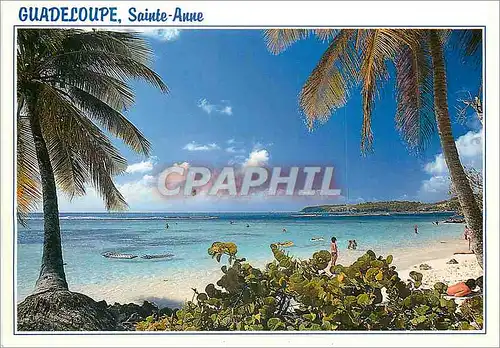 Cartes postales moderne Guadeloupe Sainte Anne Plage de la Caravelle