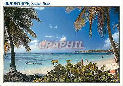 Moderne Karte Guadeloupe Sainte Anne Plage de la Caravelle