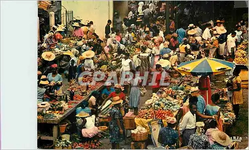 Cartes postales moderne Guadeloupe Pointe a Pitre Le marche Saint Antoine