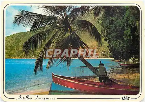 Cartes postales moderne Antilles Francaises Village de pecheurs