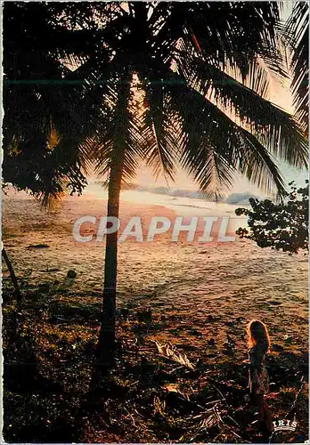 Cartes postales moderne Antilles Radieuses Contre jour sur la mer des Carraibes
