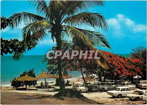Cartes postales moderne Guadeloupe Plage de Gosier