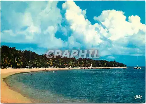 Moderne Karte Guadeloupe Plage de la Caravelle