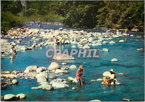 Cartes postales moderne Guadeloupe Lavandieres