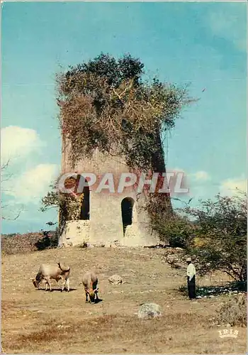 Moderne Karte Guadeloupe Antilles Radieuses Vieux moulin