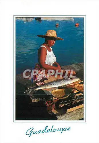 Cartes postales moderne Guadeloupe Antilles Francaises Port Louis marchande de poissons